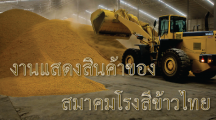 สมาคมโรงสีข้าวไทย-01-216x120